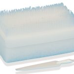 KIT SPAZZOLA CLOREXIDINA - TORINOMED