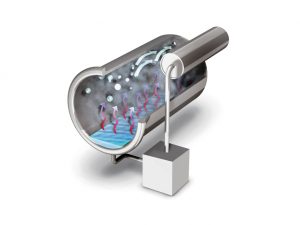 AUTOCLAVE HYDRA EVO con stampante - 15 litri - immagine 3