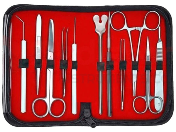 KIT DISSEZIONE IN ACCIAIO INOX AISI 202 PER ESERCITAZIONE - 11 pezzi KIT DISSEZIONE IN ACCIAIO INOX AISI 202 PER ESERCITAZIONE - 11 pezzi - TORINOMED