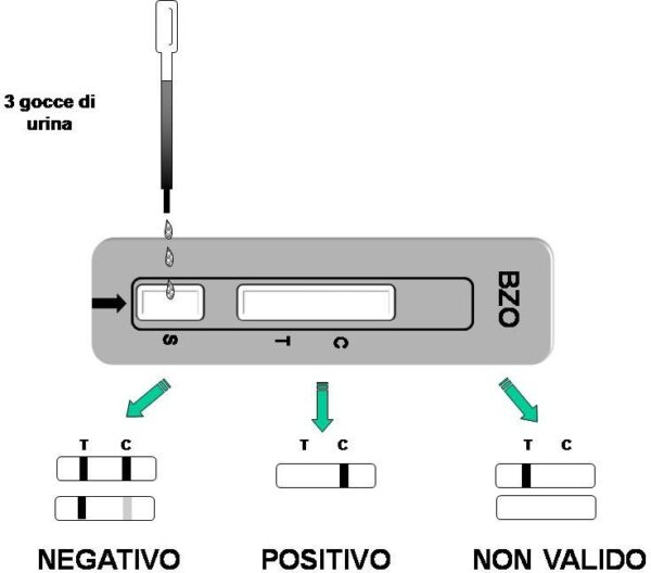 BENZODIAZEPINE DRUG TEST - BZO - TORINOMED